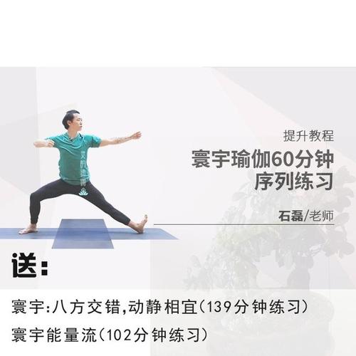购客寰宇瑜伽60分钟序列练习提升教程 5课 视频教程阴阳平衡密集练习