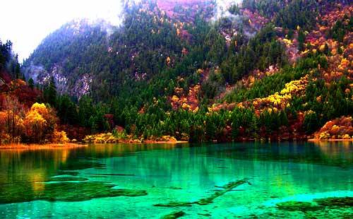 秋季重庆周边游景点推荐1:四川九寨沟