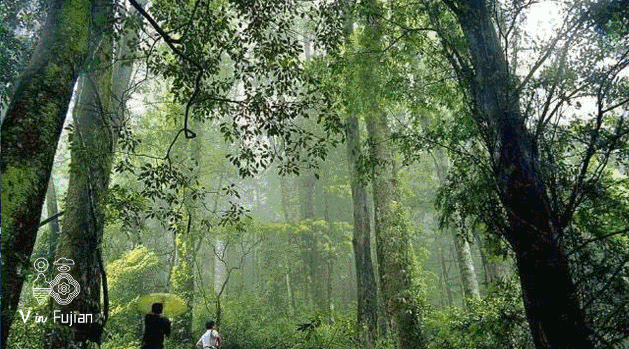 十六字令—春夏秋冬