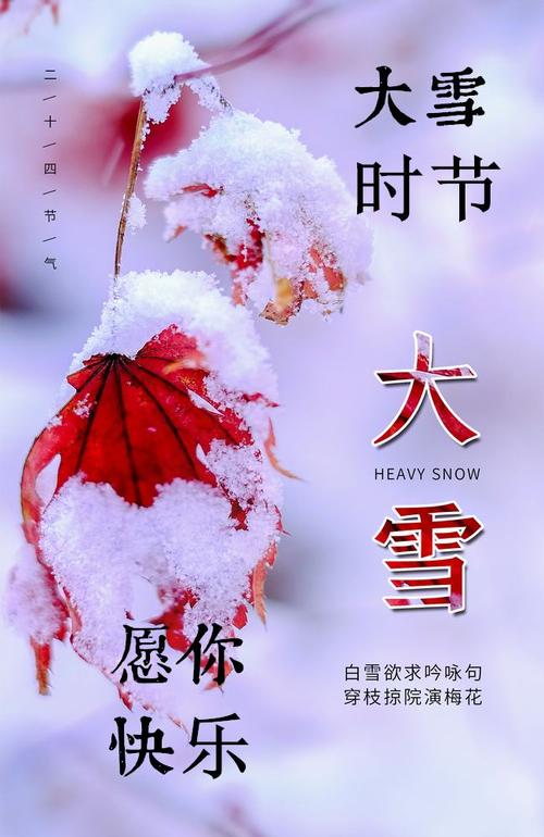 今日是大雪节气:问候-祝福