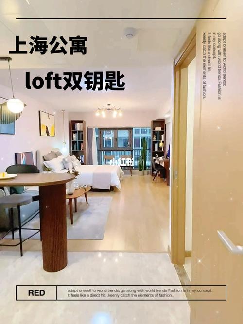 上海嘉定49平loft  月供3500_loft公寓_上海攻略_公寓