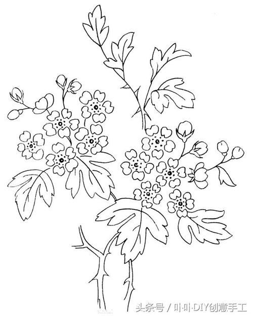 中国结艺网 69 实用手工 69 查看内容分享一些绣花线刺绣的花样