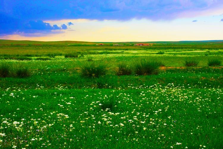 夏天的希拉穆仁草原_风景_poco摄影,我要上封面,建筑