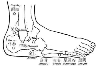 金门穴取穴方法〗金门穴位于人体的足外侧部,当外踝前缘直下,骰骨