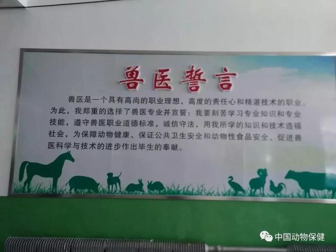 2019年4月27日是第19个世界兽医日,为了突显并促进全球兽医在拯救