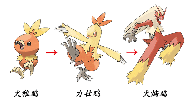 "火焰鸡"是其中的一只小精灵,而且还是最高进化型呢▼