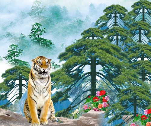 关键词:客厅壁画 高山 雾 松树 花 老虎 石头 客厅画 设计类 其他 源