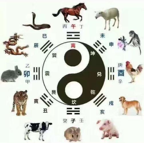 十二生肖什么相合什么相克,属虎和什么属相相冲
