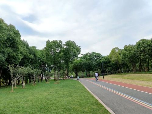 全省首条5g智慧跑道,就在义乌!|绿道|植物园