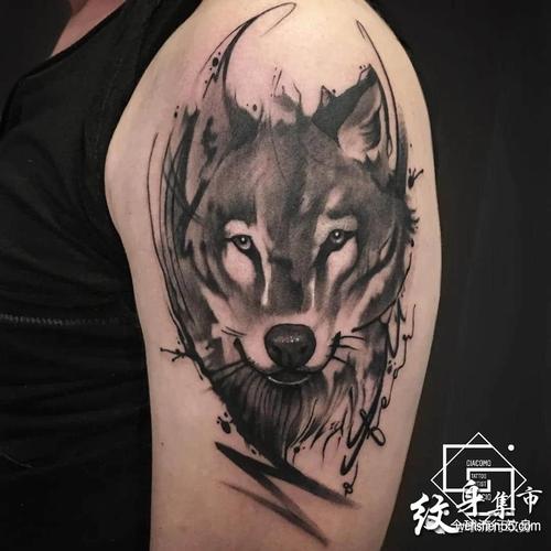 狼纹身,狼纹身手稿,狼纹身手稿图案