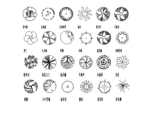 常用景观植物cad图块园林树木平面