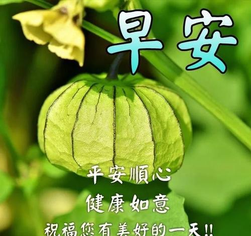 发朋友圈很赞的正能量语录,清晨最美早安图片祝福表情!