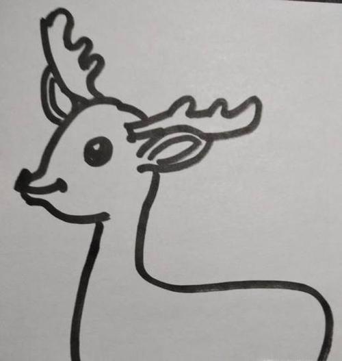 画出小鹿的尾巴,小鹿的尾巴短小一些,是往上翘的.