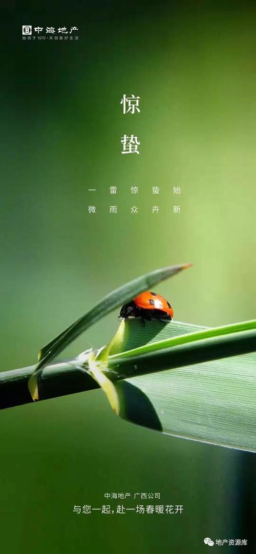 2022年惊蛰优秀海报精选