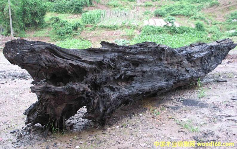 哪里有收乌木的价格大概多少钱一吨