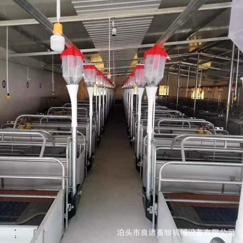 猪舍猪用育肥料线 全自动喂料线设备 养猪设备厂家