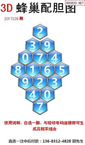 蜂巢图17239期迷宫送胆蜂巢配胆图谜