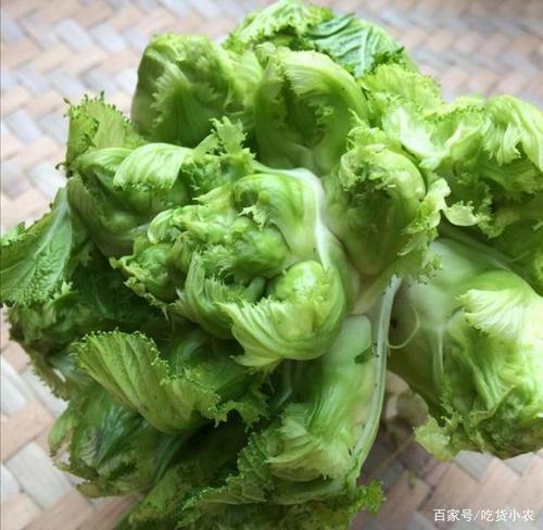 奶奶传统的儿菜,娃娃菜的做法,细腻多汁,肉质白嫩