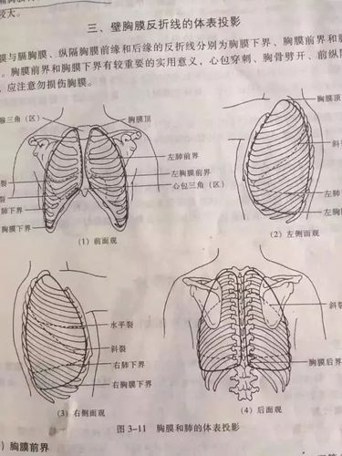 风险 最大的风险就是注射进胸膜腔,下面看图.