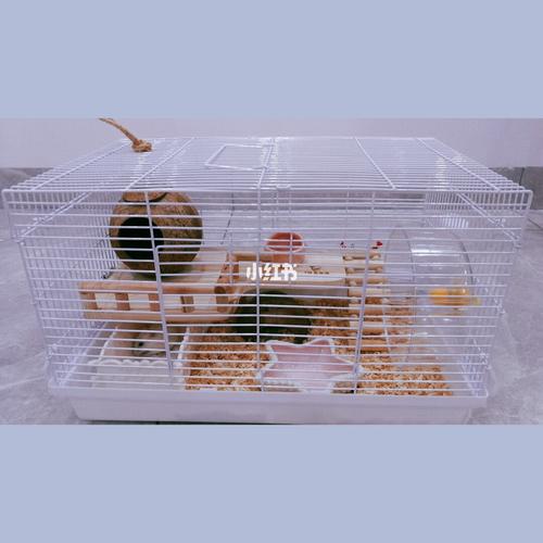 仓鼠47基笼diy的分享_仓鼠_汤丽柏琦怎么样_收纳盒_自制仓鼠笼_宠物