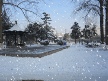 大雪