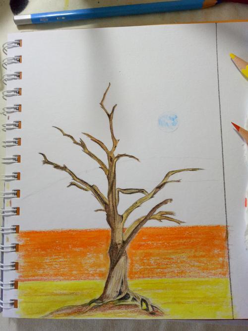 彩铅手绘——树(21)