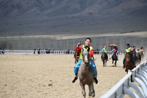 精彩周末赛马大会新鲜出炉快来围观