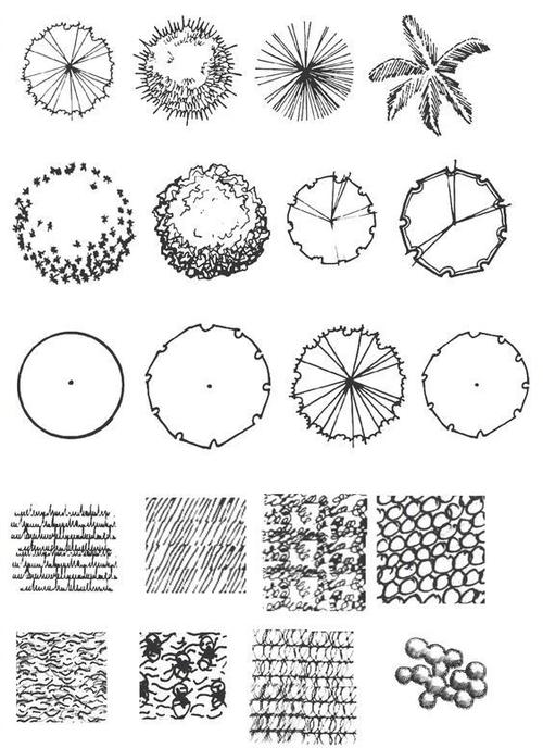 平面树的画法67