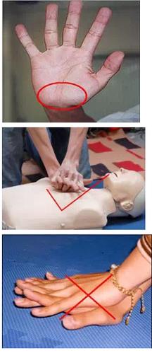 第四步:按压速度和深度.