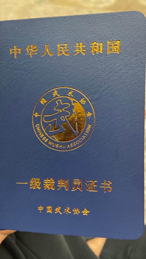 2020年安徽省武术套路一级裁判员晋级