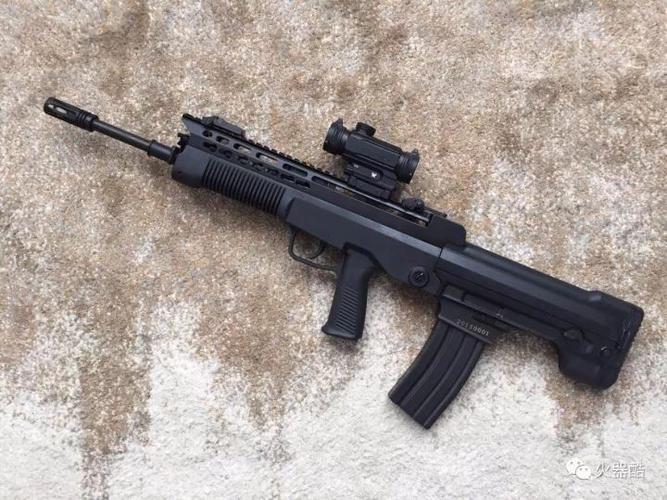 【往期精选】海外党同胞收藏的国产97式步枪