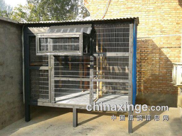 想搭个迷你鸽舍 老师们给点意见