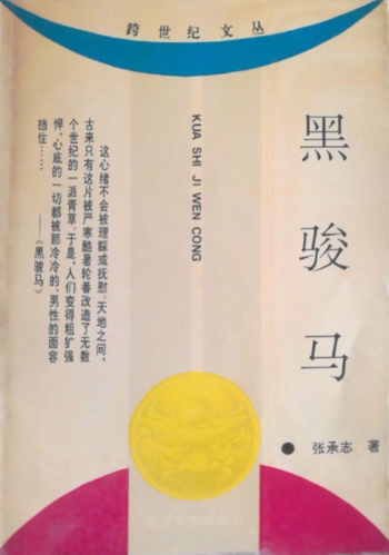 黑骏马