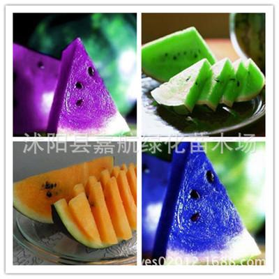 欧洲进口 西瓜种子/黄瓤/蓝瓤/白瓤/红瓤 阳台庭院盆栽水果种子