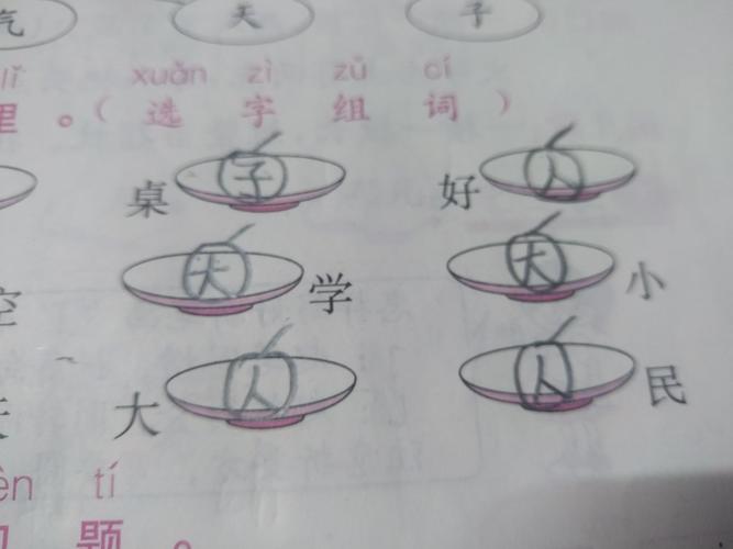 把苹果放到盘子里.选字组词