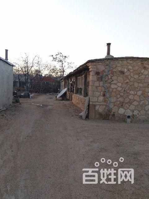 平房急卖,地址 光辉屯村 小桥南 老房子.