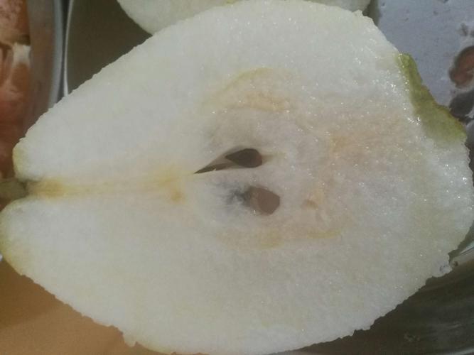 这是梨的横切面