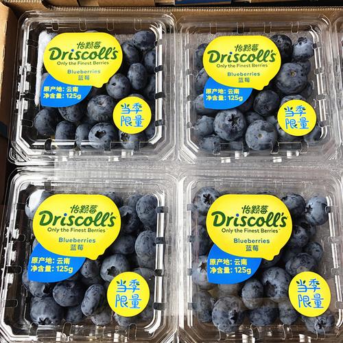 购客云南怡颗莓蓝莓王4盒driscoll"s超大限量蓝莓鲜果孕妇水果包顺丰