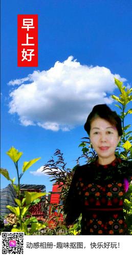 动感相册问候语集锦(点点篇)