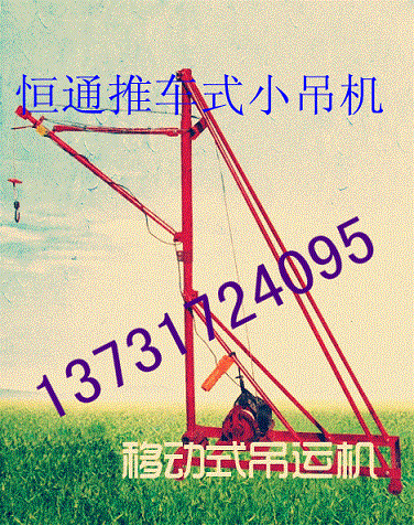 稍微先进的办法就是靠滑轮吊运了. 小吊机吊运机小型吊机小型吊运机