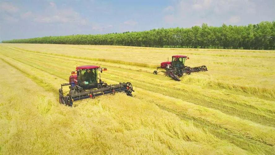 北大荒农业现代化建设融入新格局