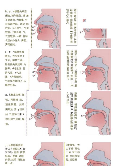汉语拼音口型大全.docx 4页