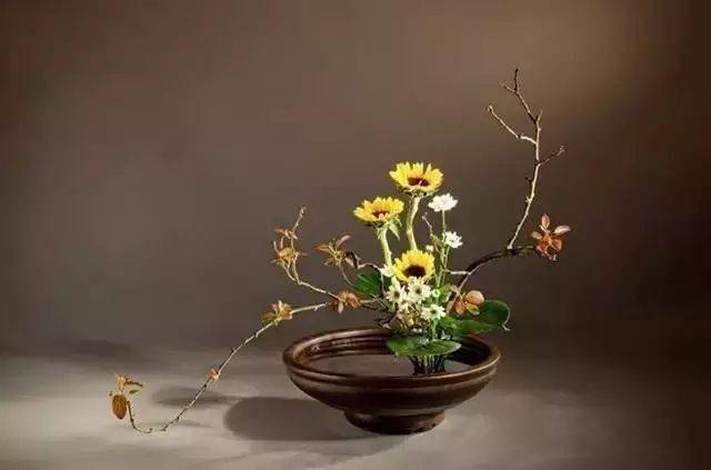 平卧式:是指全部的花材在一个平面上的插花样式.