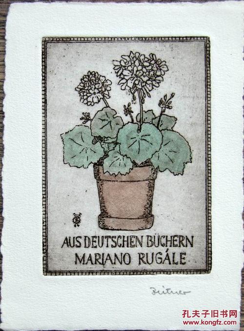 德国艺术家"irma zeitner"彩色铜版植物系列藏书票——《盆花》 签名