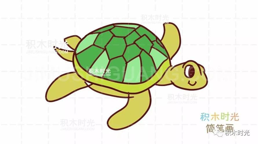 动物简笔画大全画海龟简笔画