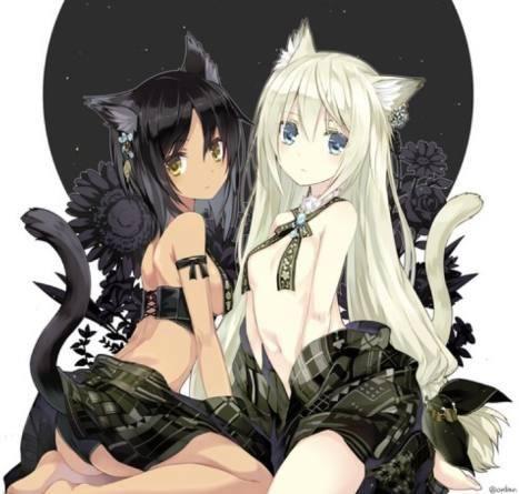 猫耳朵h动漫头像