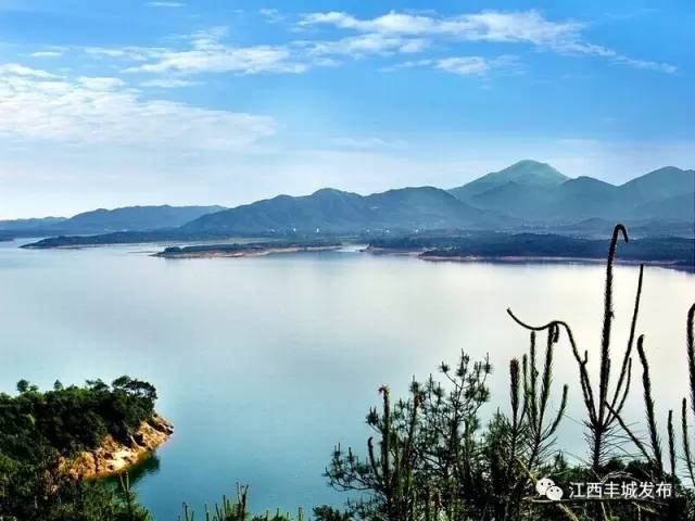 注意!花博园升级改造 暂停接游丨丰城将建成一国家4a级旅游风景区