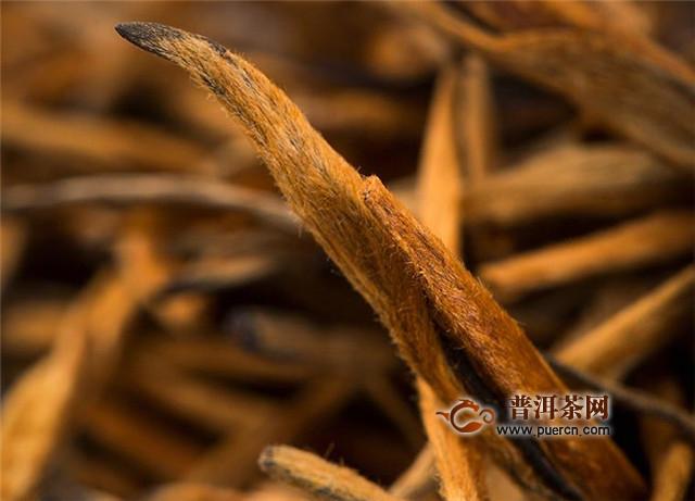 大金芽红茶怎么泡?这样泡香高韵长,鲜爽回甘