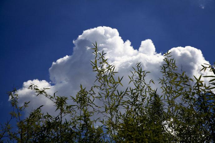 风轻云淡 坐看闲云---一个人的仙姑顶之旅