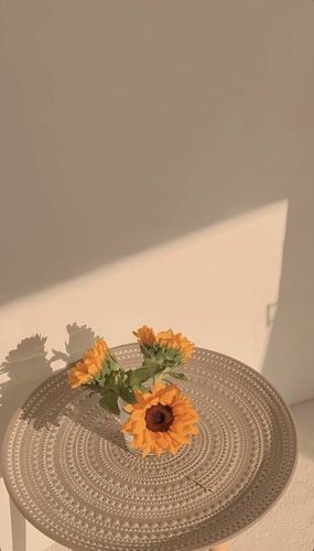 插画壁纸/油画壁纸/手机壁纸背景图/动漫壁纸高清壁纸/摄影/简约/可爱